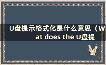 U盘提示格式化是什么意思（What does the U盘提示格式化）